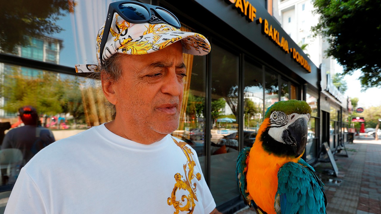 Turgut Özal'ın kaybolan papağanı 3 gün sonra bulundu