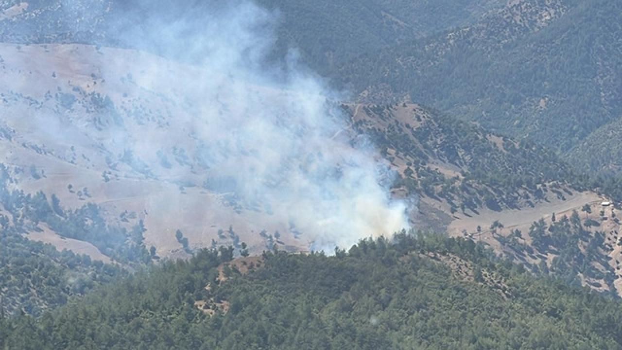 Adana'da orman yangını: Müdahale sürüyor