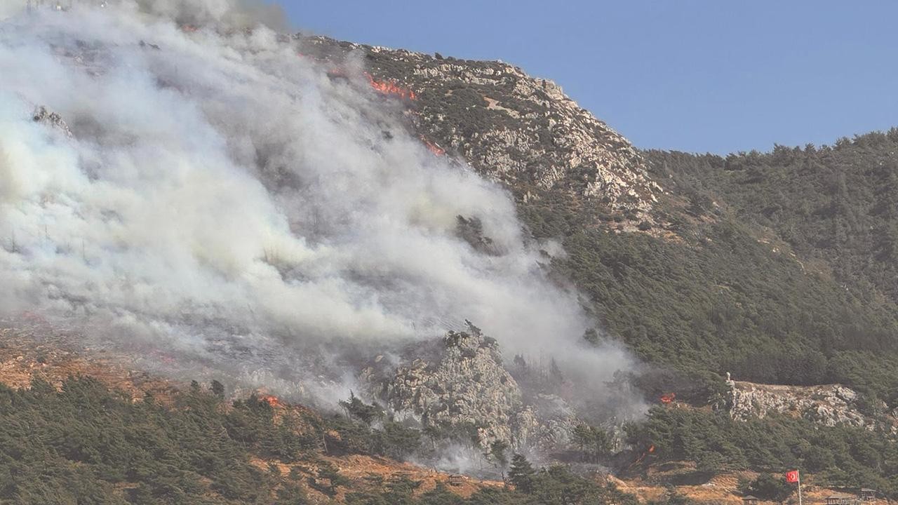 Hatay'da ormanlık alanda yangın