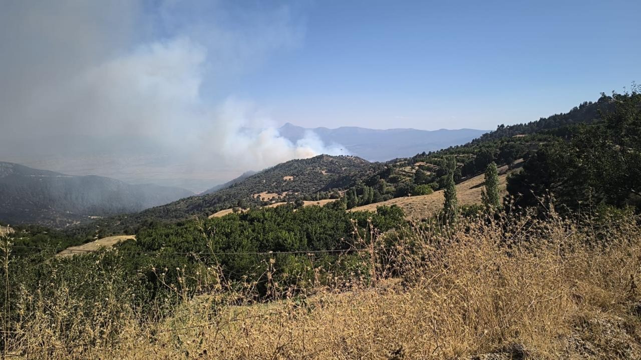 Denizli'de orman yangını