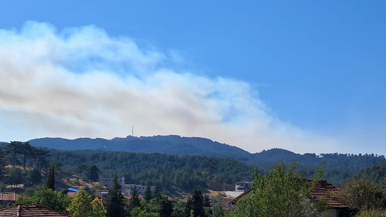 Denizli'de çıkan orman yangını sürüyor