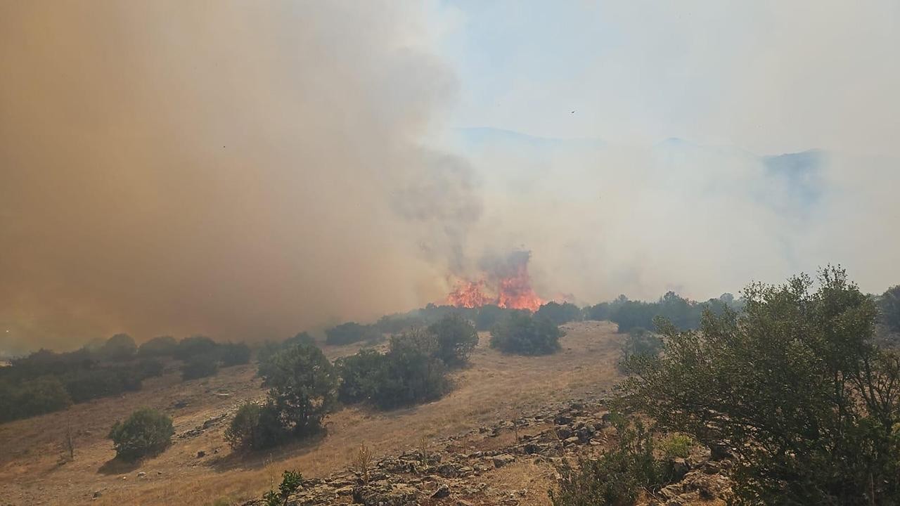 Balıkesir'de orman yangını