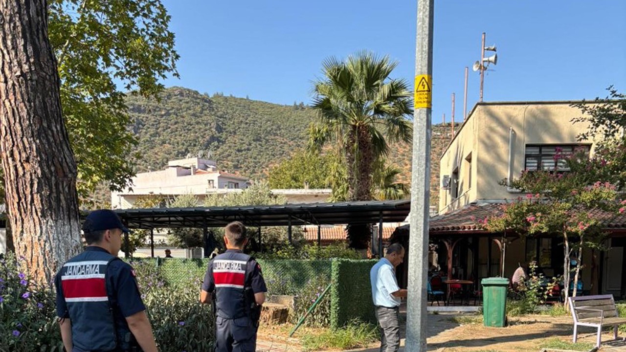 Sokak hayvanlarını zehirledi: Etleri çocuklara dağıttırdığı öğrenildi