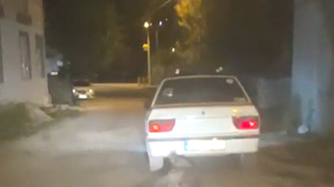 Yaban domuzunu otomobilin arkasına bağlayıp sürükledi