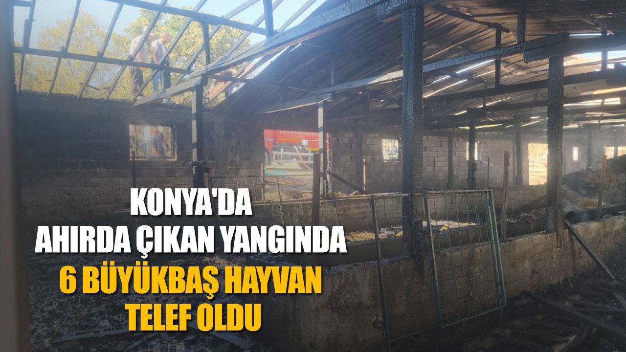 Konya'da ahırda çıkan yangında 6 büyükbaş hayvan telef oldu