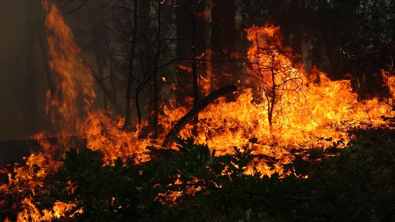 Karabük'te ormanlık alanda çıkan yangına müdahale ediliyor
