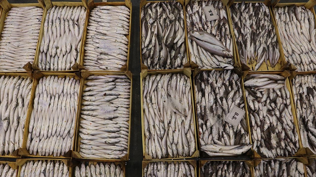 Egeli balıkçılar ilk günden tezgahları doldurdu