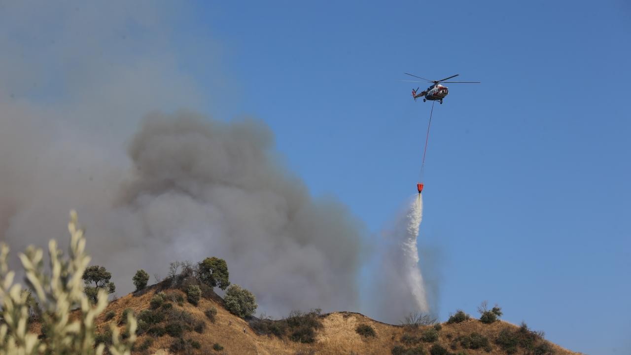 Zeytinlik ve ormanlık alanda çıkan yangına müdahale ediliyor