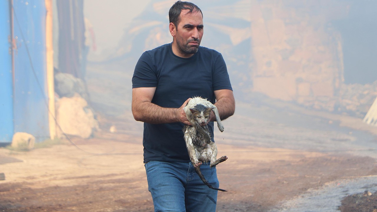 Alevlerin arasına girip kediyi kurtardı