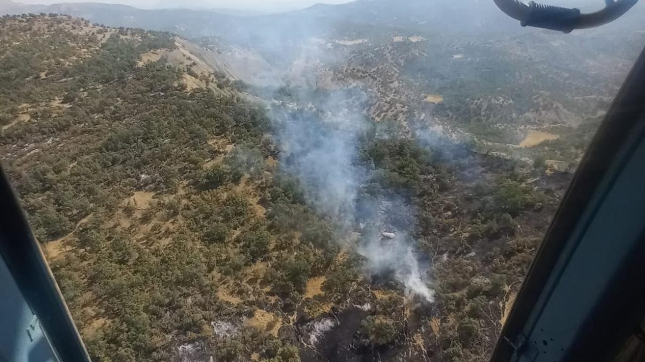 Şırnak'ta orman ve örtü yangını