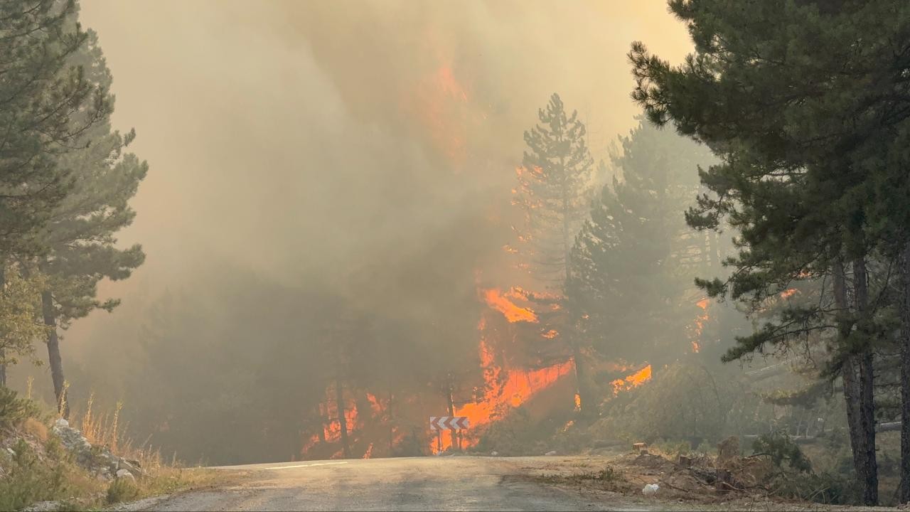 Karabük'te orman yangını