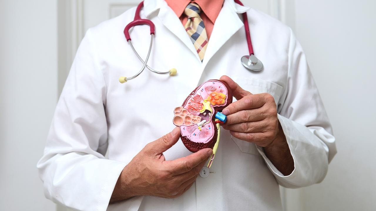 Tıp tarihinde bir ilk: Böbrekleri kurtaracak MikroRNA buldu