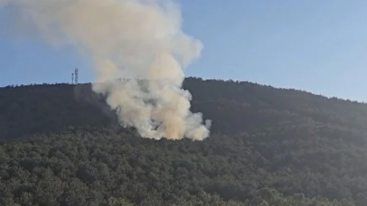 Maltepe'deki yangına 2 gözaltı: Kamp ateşine yastık atmışlar!