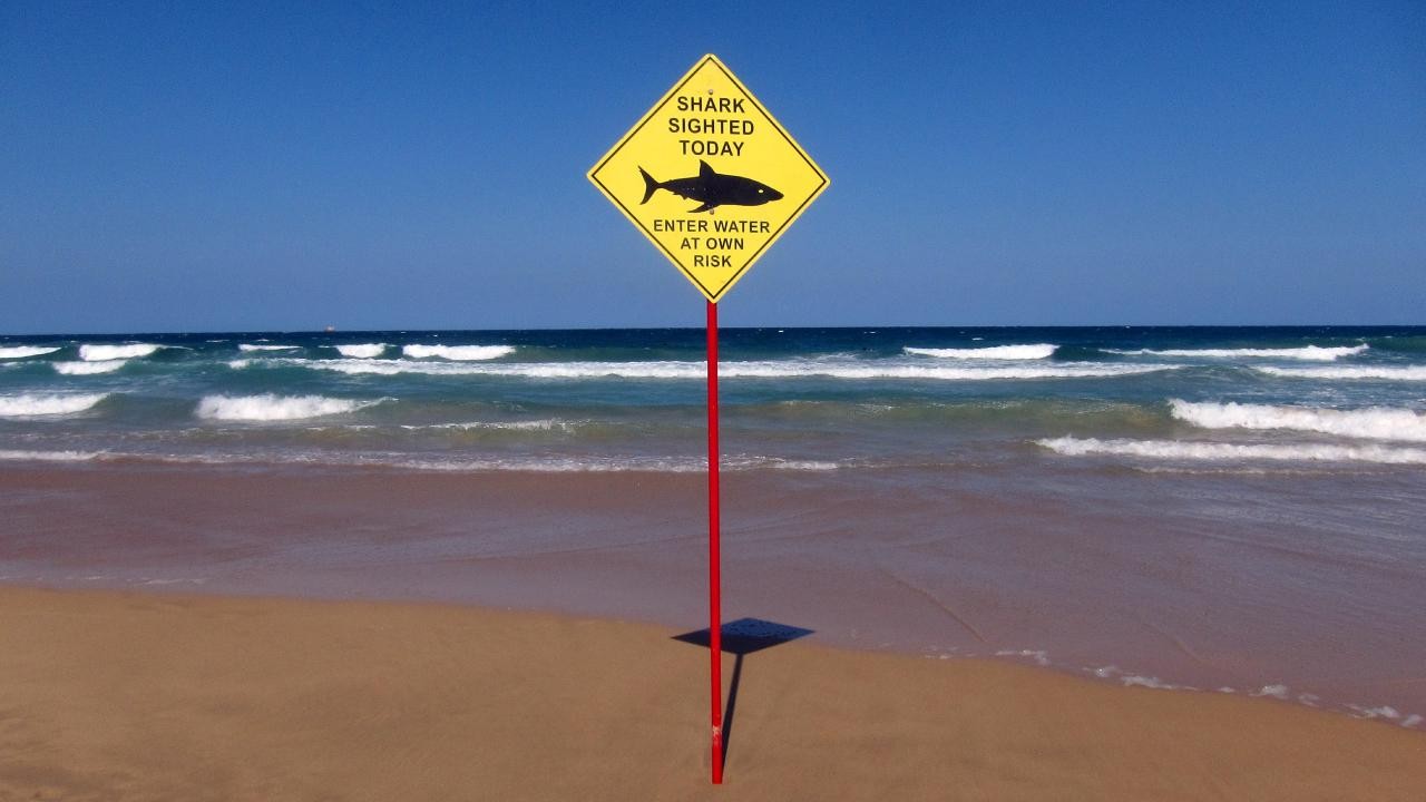 Köpek balığı saldırısı nedeniyle iki plaj kapatıldı