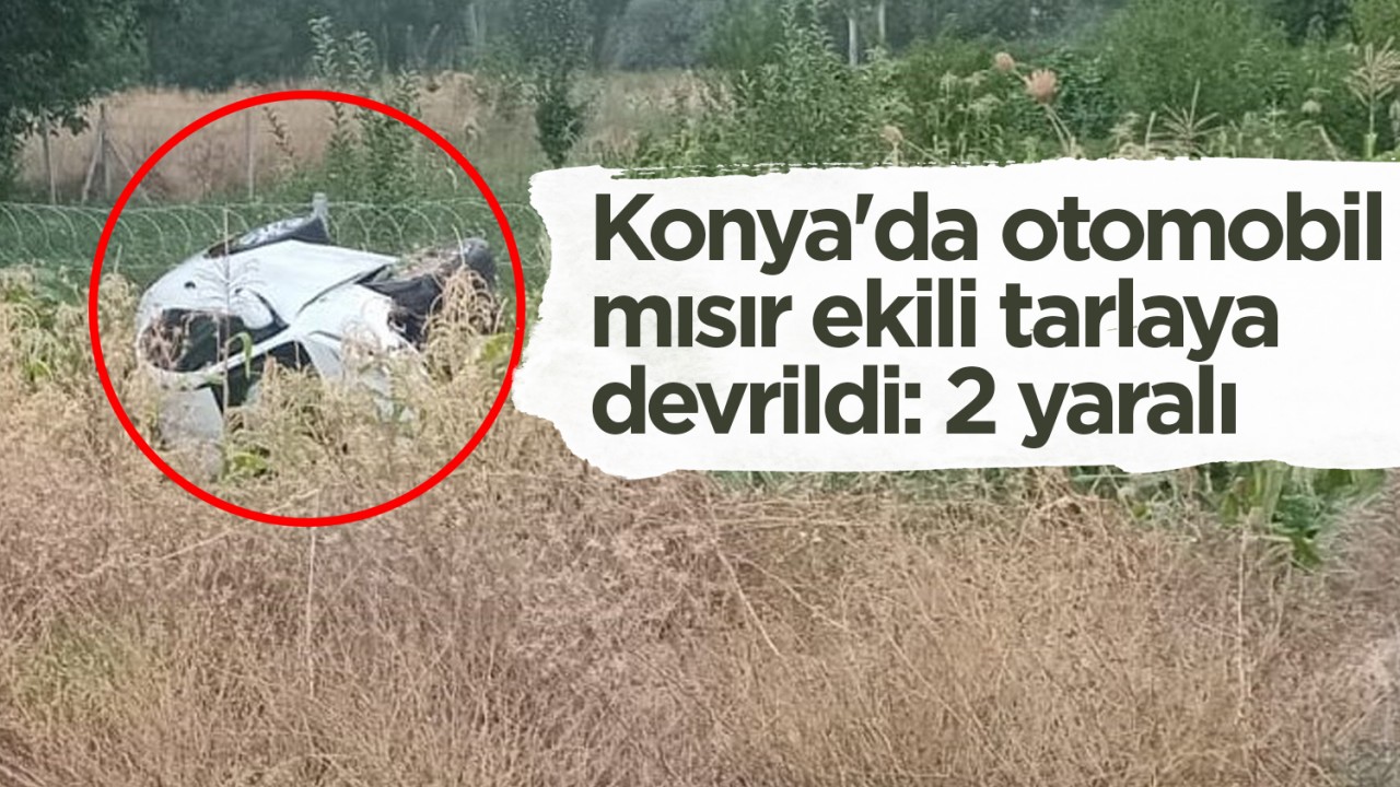 Konya'da otomobil mısır ekili tarlaya devrildi: 2 yaralı