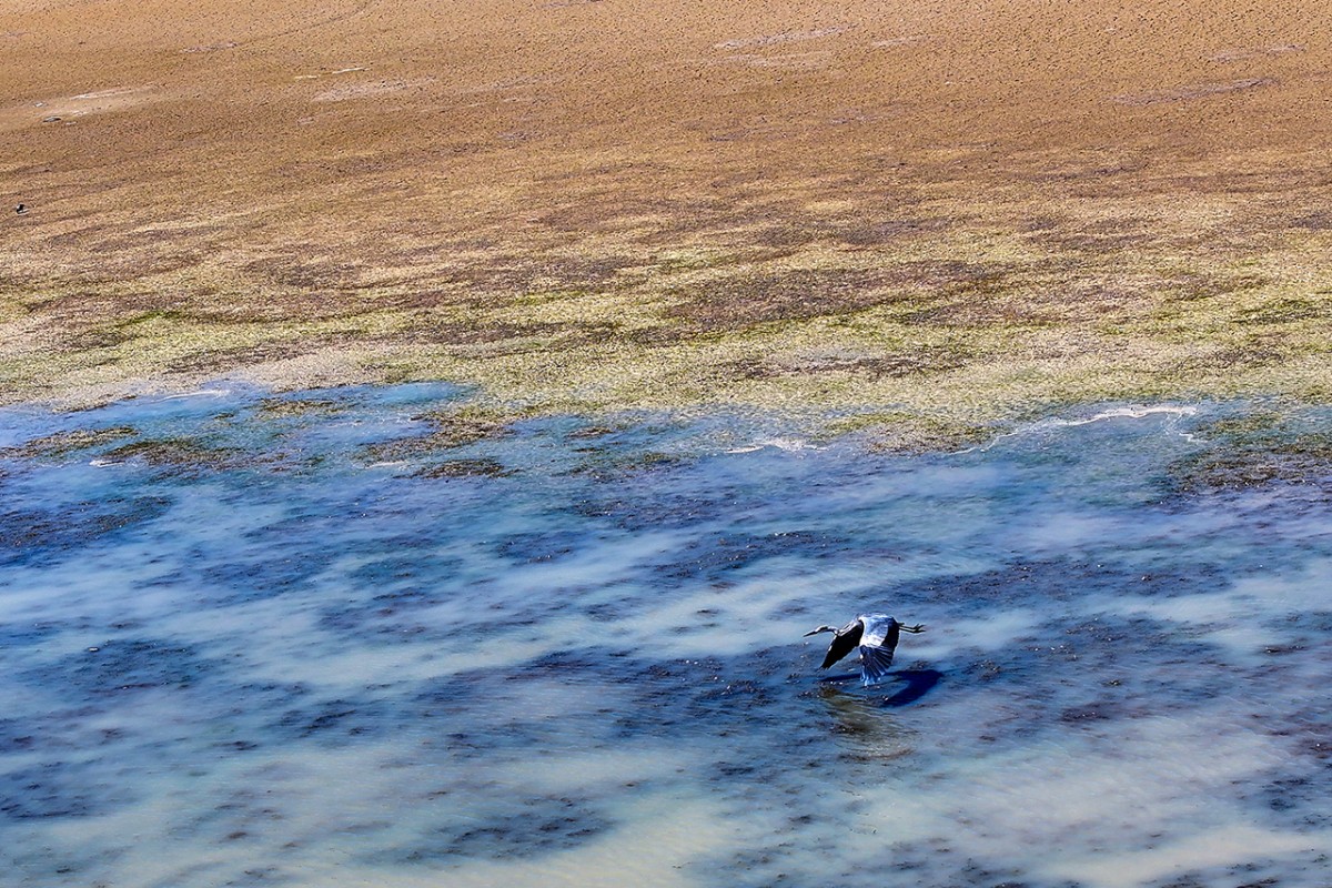 Konya’da kuraklığın etkisiyle su kaynakları dip seviyeleri gördü
