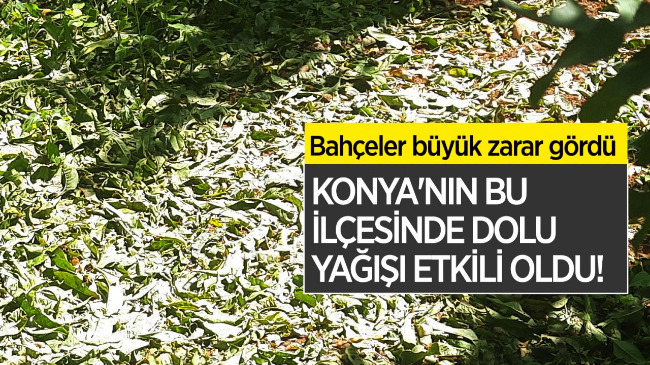 Konya'nın bu ilçesinde dolu yağışı etkili oldu! Bahçeler büyük zarar gördü