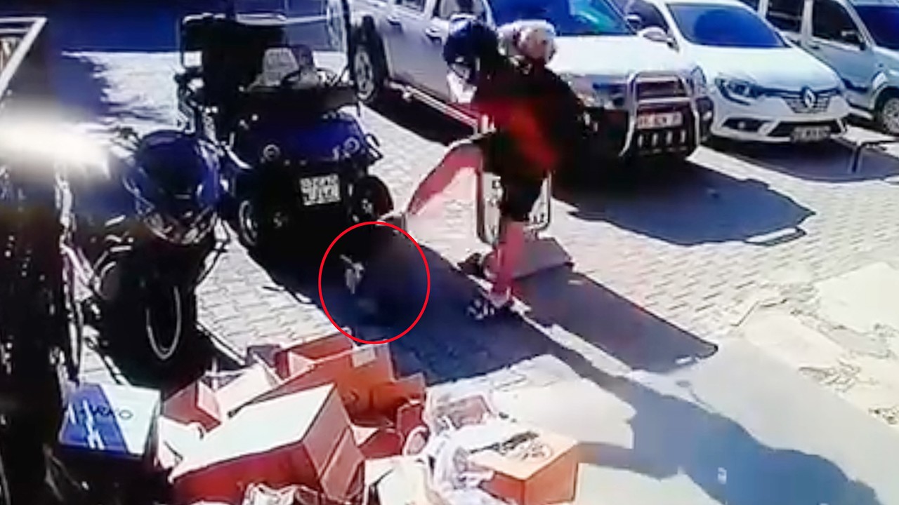 Kediyi tekmeledi, tutuklandı