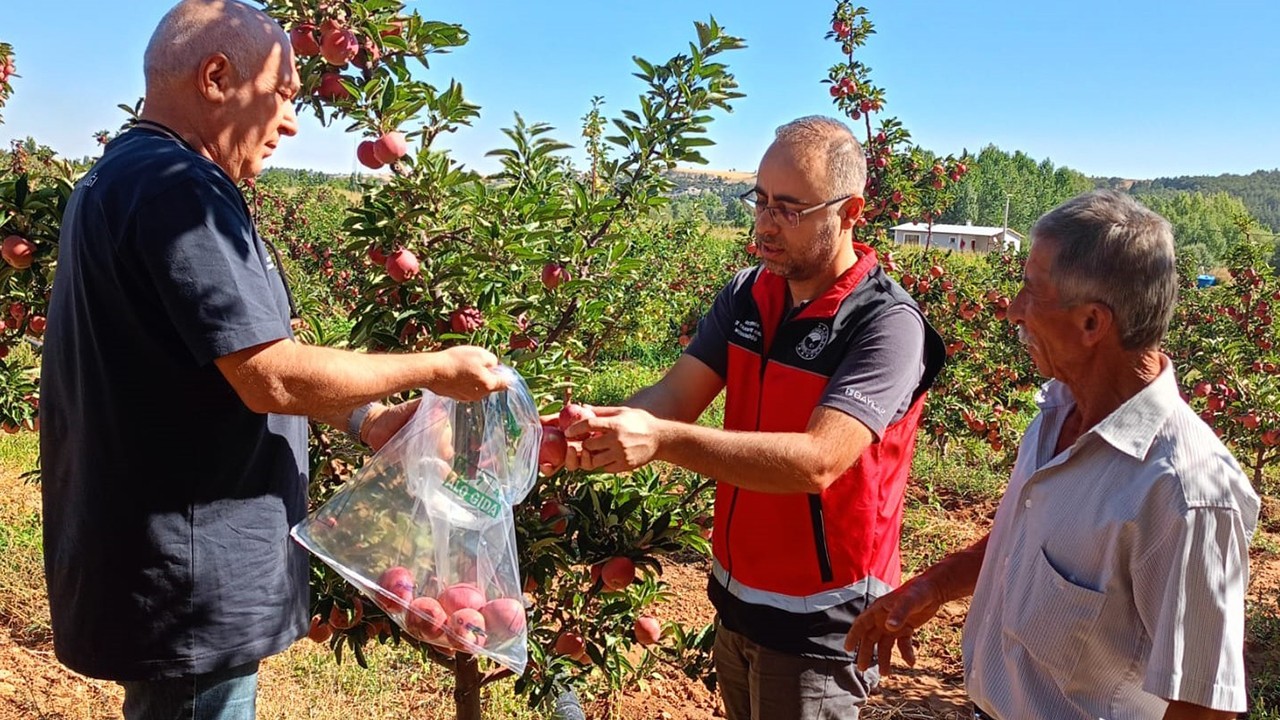 Beyşehir'de hasat öncesi pestisit denetimleri
