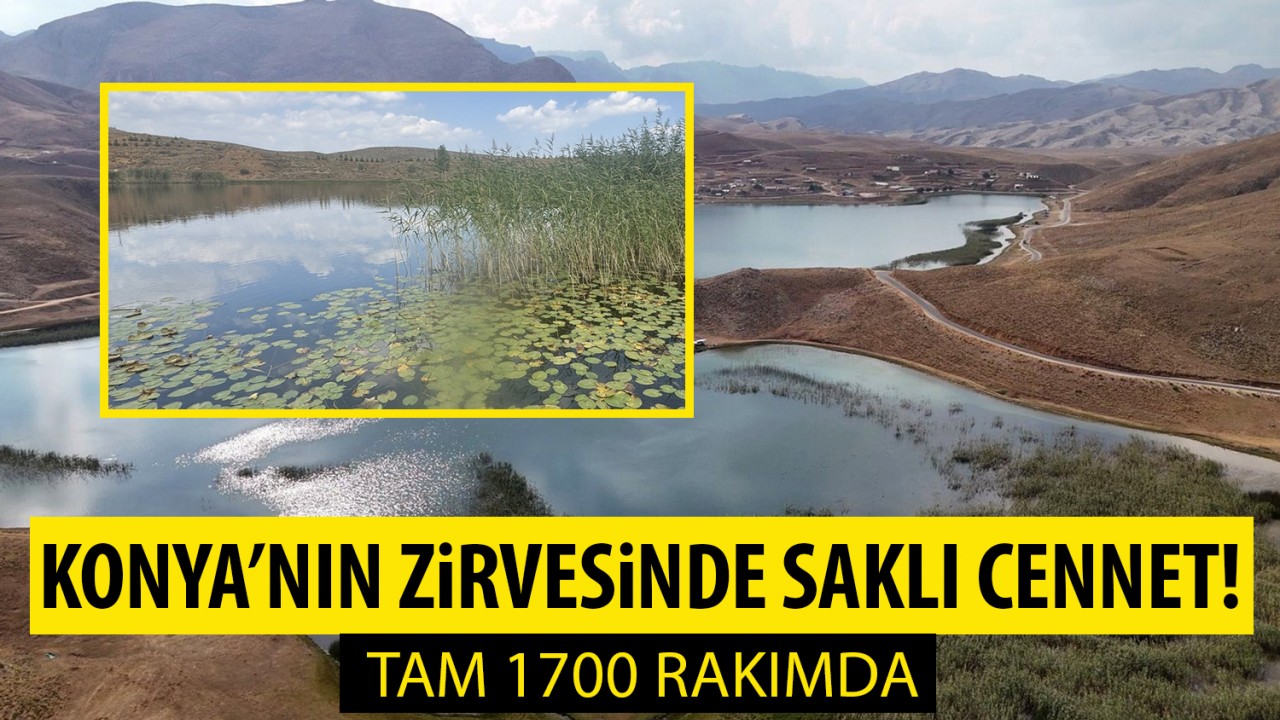 Konya’nın zirvesinde saklı cennet! Tam 1700 rakımda