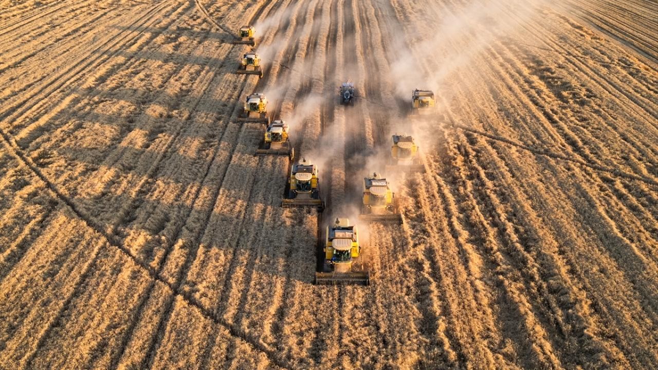 Türkiye ve Suriye tarımsal destek için yol haritası hazırladı