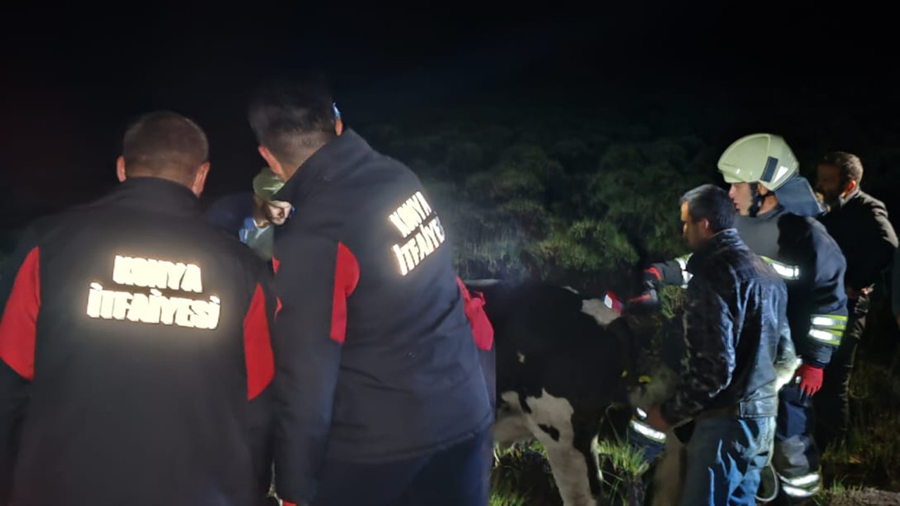 Seydişehir'de bataklığa saplanan inek kurtarıldı