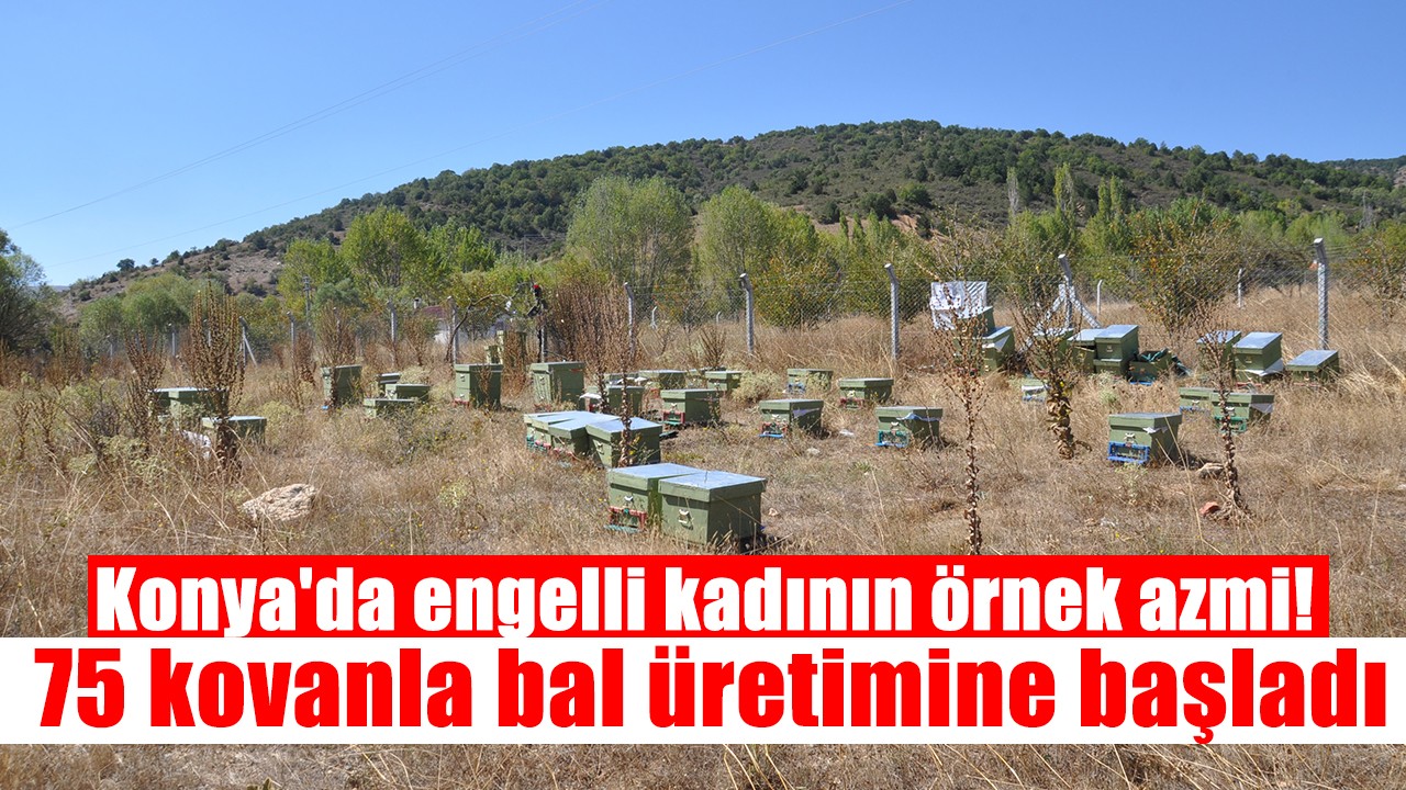 Konya'da engelli kadının örnek azmi! 75 kovanla bal üretimine başladı