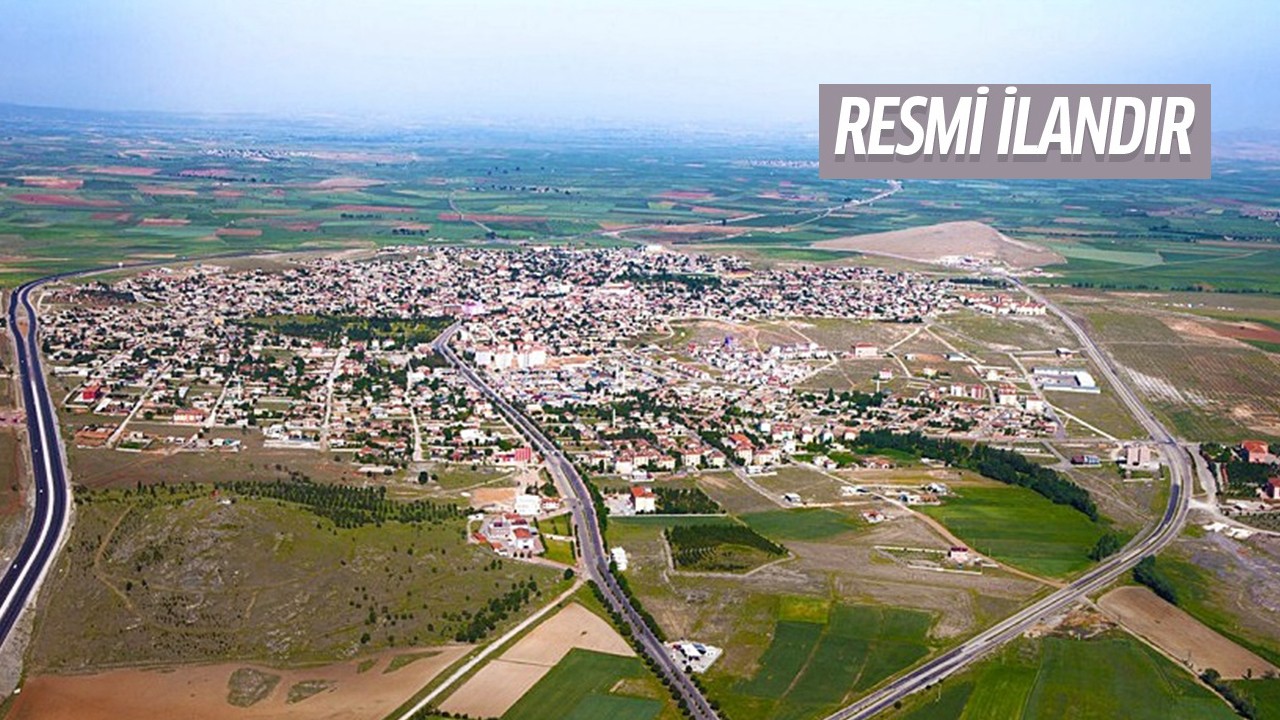 Konya'nın bu ilçesine hayvan barınağı yapılacak