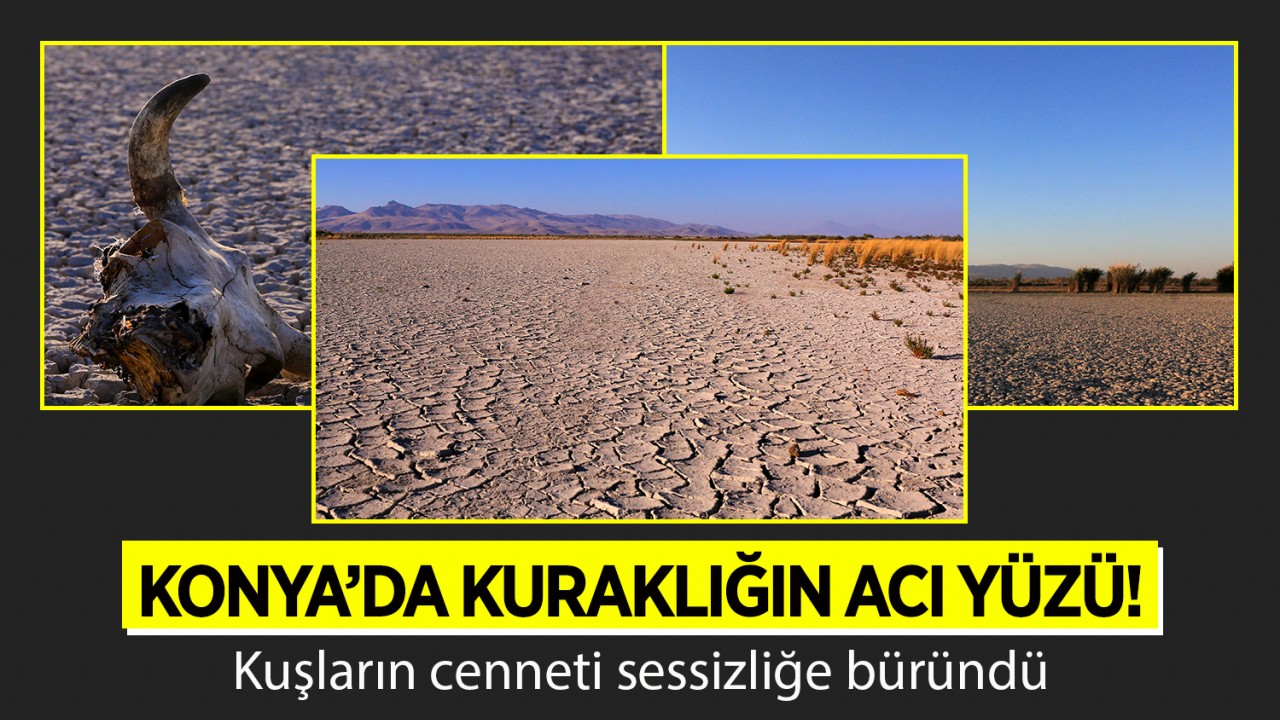 Konya'da kuraklığın acı yüzü! Kuşların cenneti sessizliğe büründü