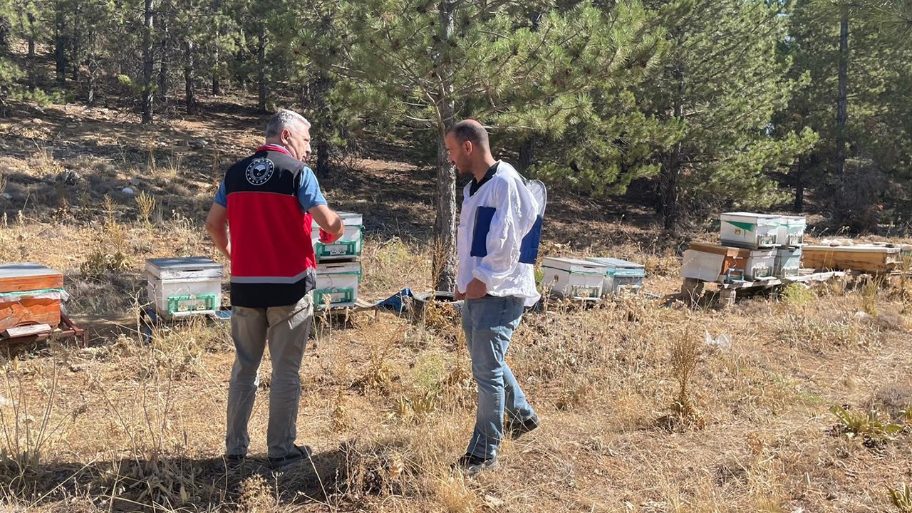 Beyşehir’de arılı kovan sayımları yapılıyor