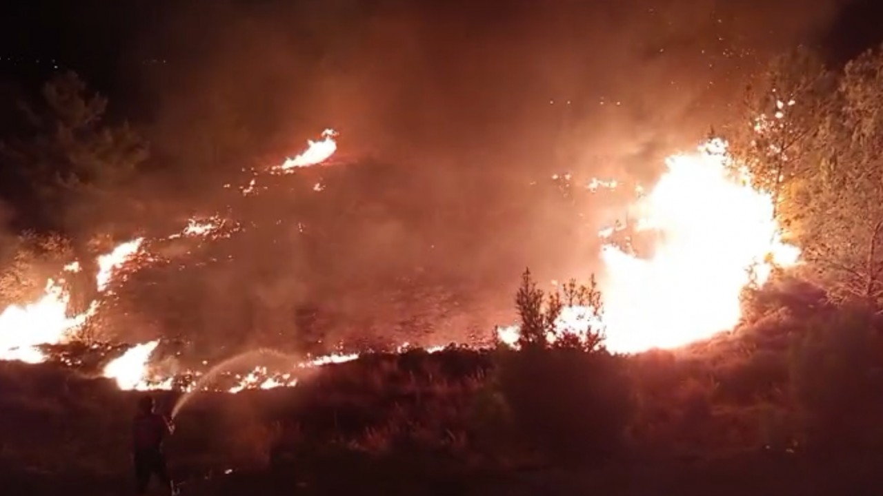 Düğünde atılan havai fişekler yangın çıkardı