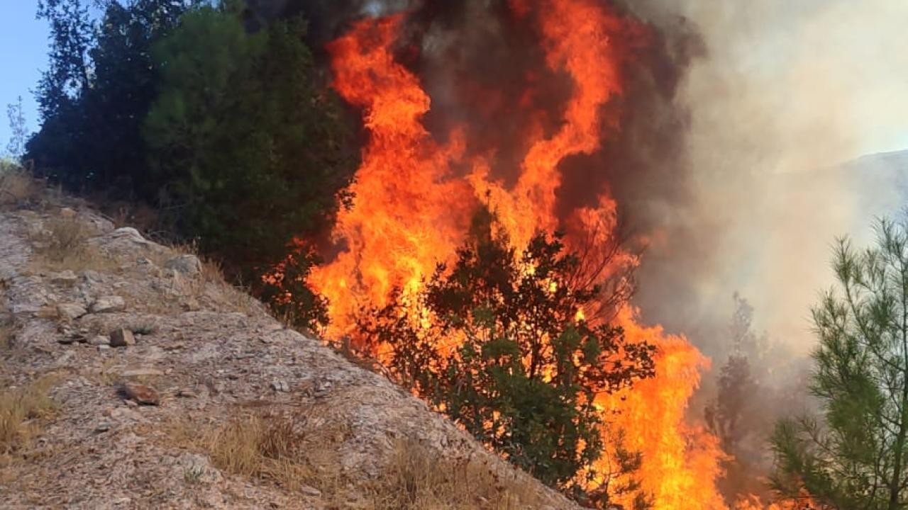 Balıkesir'de orman yangını