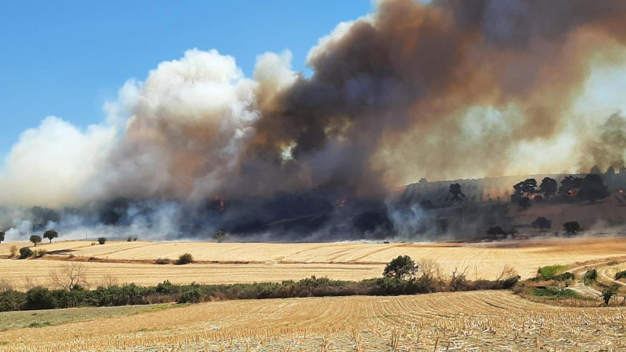 Çanakkale'de orman yangını