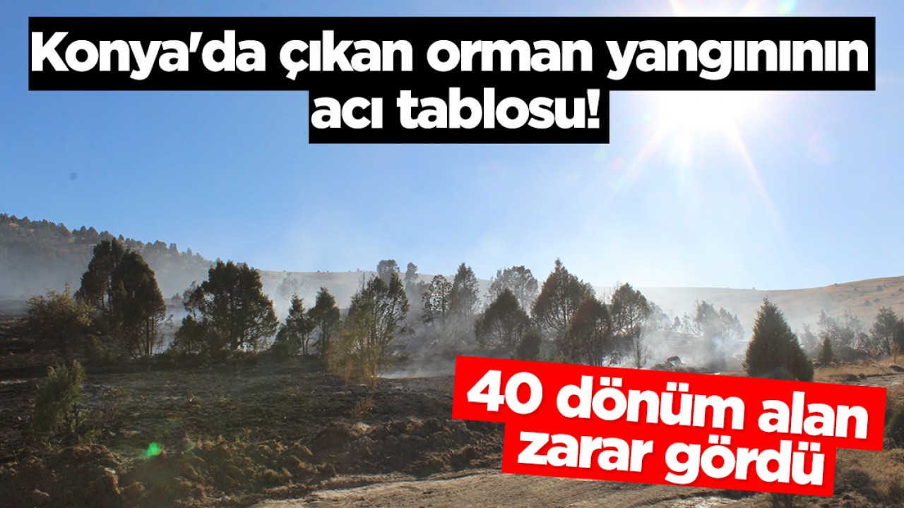 Konya'da çıkan orman yangınının acı tablosu! 40 dönüm alan zarar gördü
