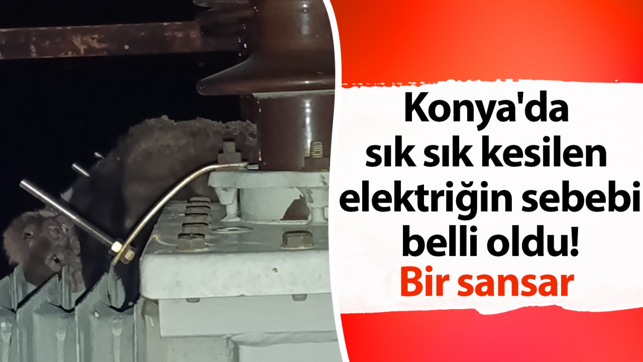 Konya'da sık sık kesilen elektriğin sebebi belli oldu! Bir sansar