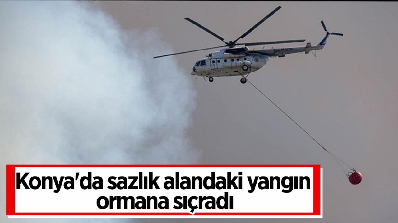Konya'da sazlık alandaki yangın ormana sıçradı