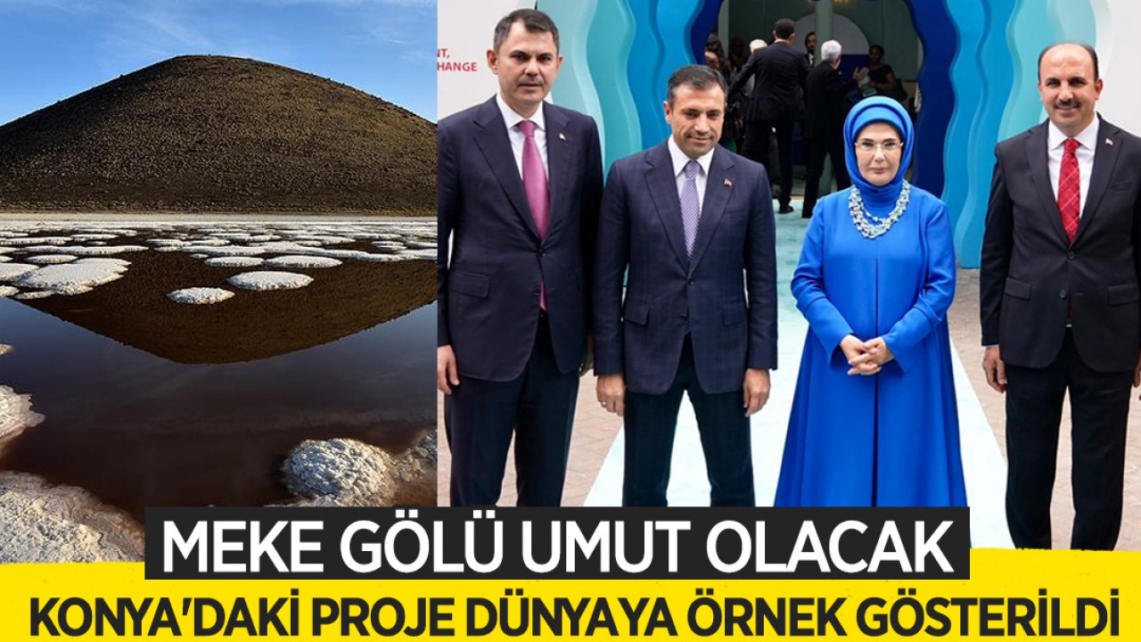 Konya'daki proje dünyaya örnek gösterildi: Meke Gölü umut olacak