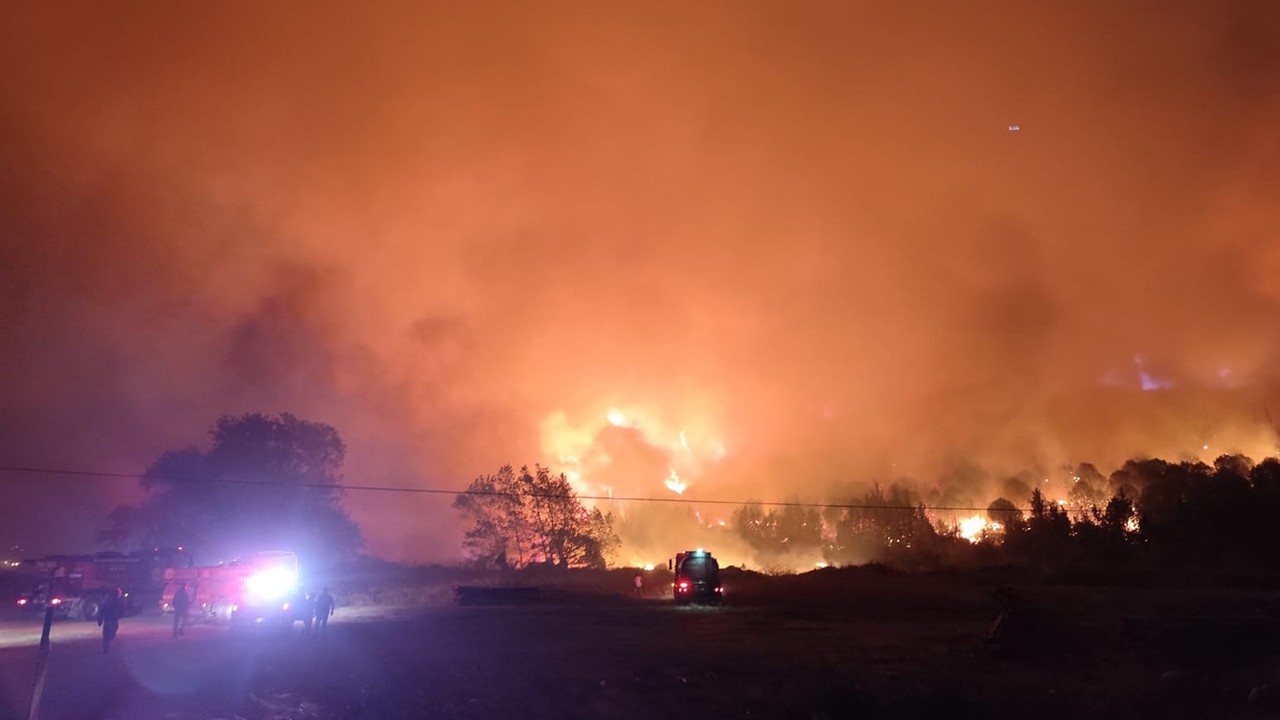 Bursa'da orman yangını