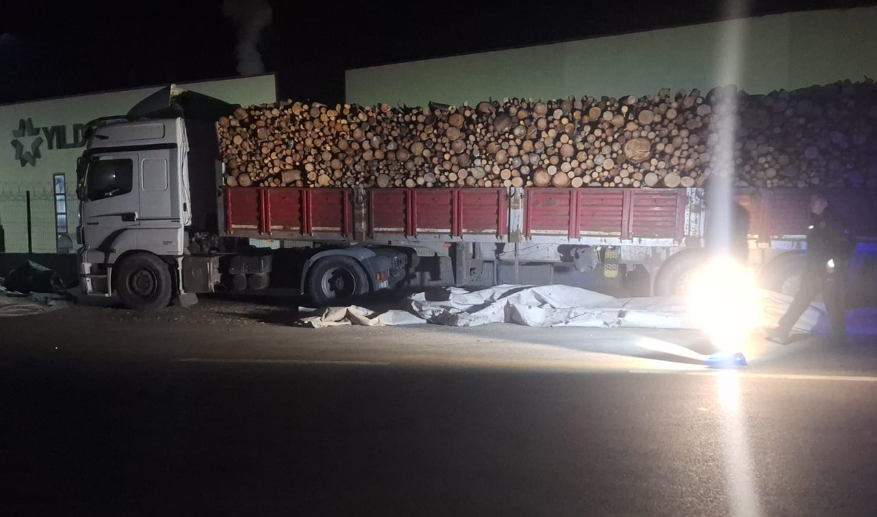 Brandayı toplarken otomobilin çarptığı TIR sürücüsü öldü