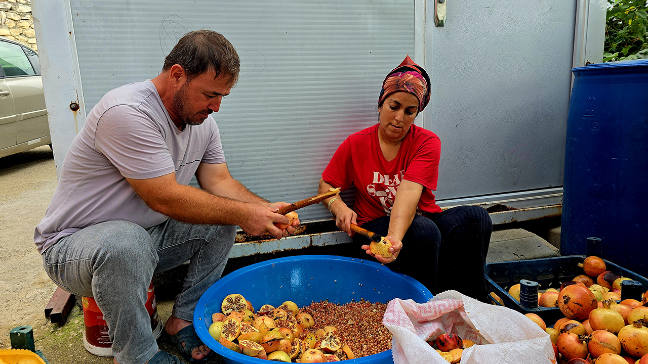 Mahalleliyi birleştiren imece geleneği; nar ekşisi