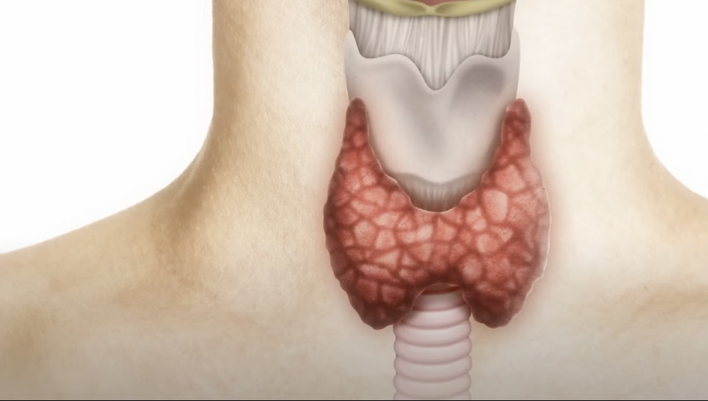 Tiroit hastaları dikkat! İyot eksikliği en büyük sebebi