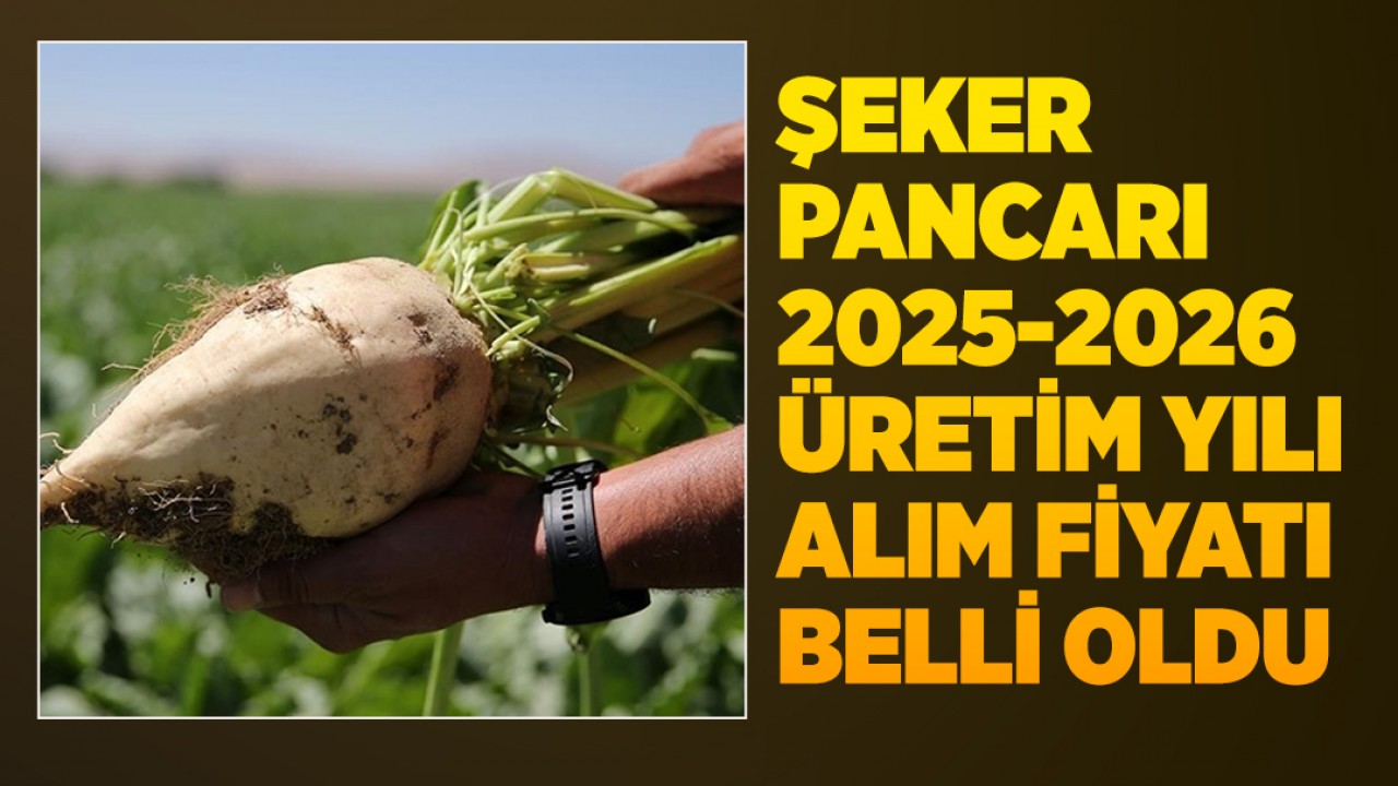 Şeker pancarı 2025-2026 üretim yılı alım fiyatı belli oldu