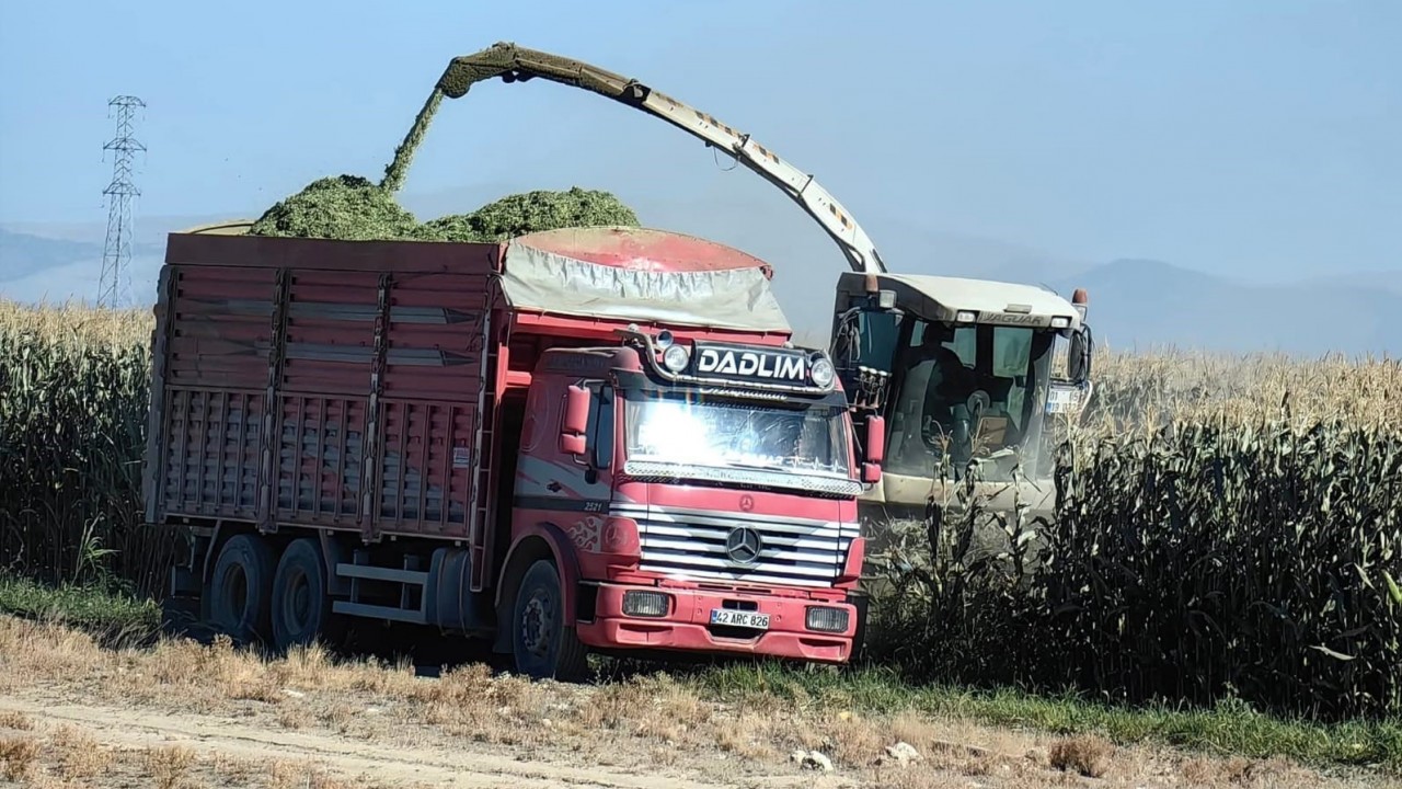 Karapınar’da mısır hasadı başladı