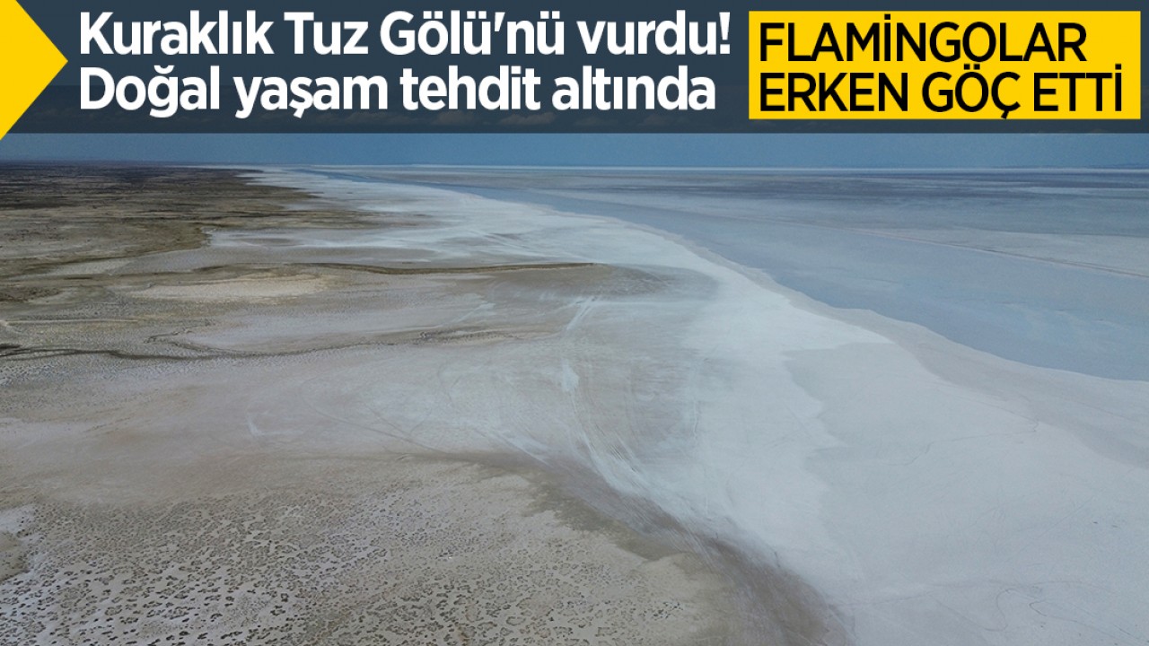 Kuraklık Tuz Gölü'nü vurdu! Doğal yaşam tehdit altında: Flamingolar erken göç etti