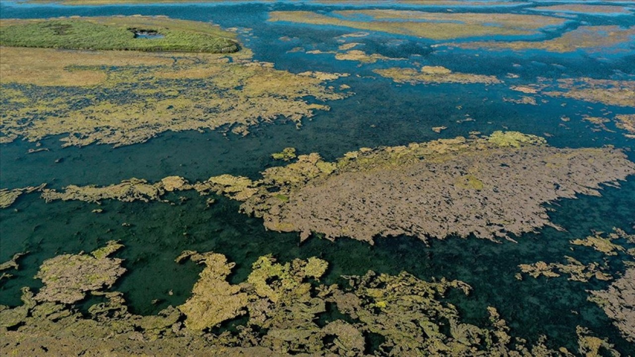 Biyoçeşitlilik ve habitatın korunması için geliştirilen projeler desteklenecek