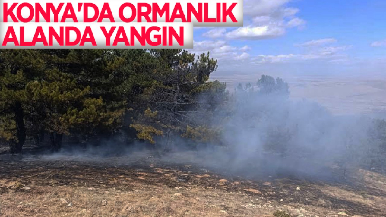 Konya'da ormanlık alanda yangın çıktı