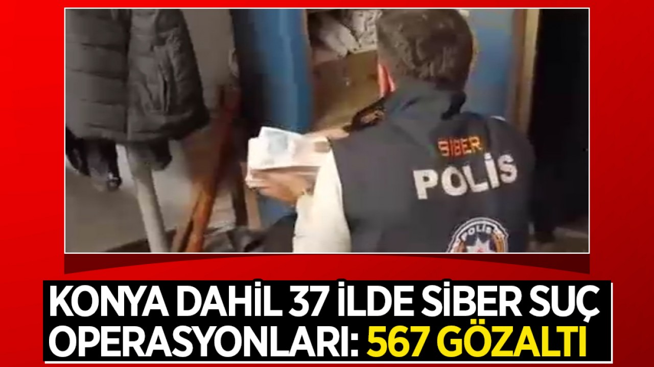 Noginskning buzuq ayollari Ot seks porno videolar tanlash