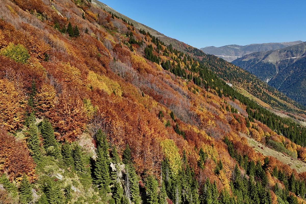 Kaçkar Dağları sonbahar renklerine büründü