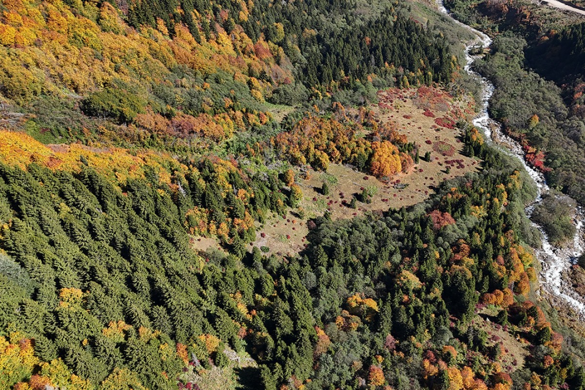 Kaçkar Dağları sonbahar renklerine büründü