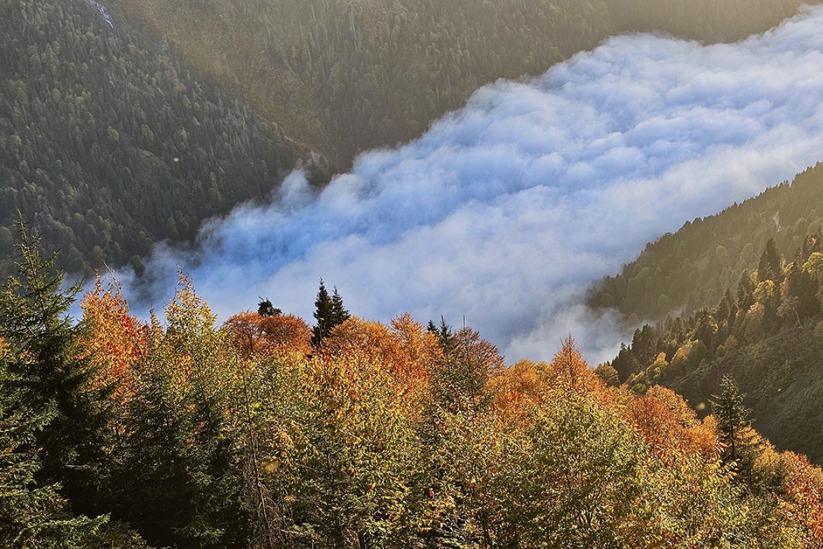 Kaçkar Dağları sonbahar renklerine büründü